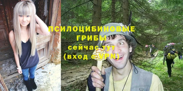гашик Горняк