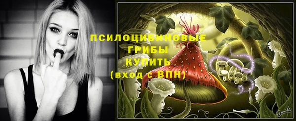 мяу мяу мука Горно-Алтайск