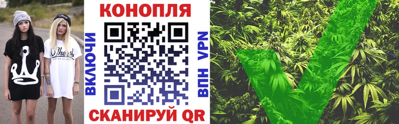 Марихуана SATIVA & INDICA  как найти закладки  Кологрив 